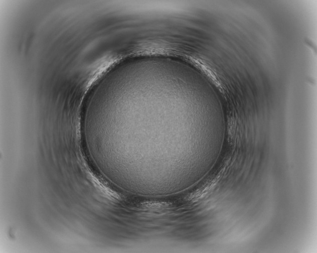 X0000096420629200802071703