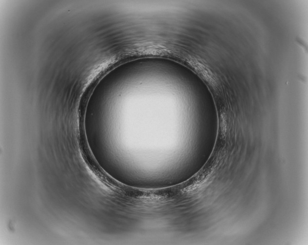 X0000096420630200802071703