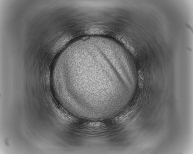 X0000096420631200802071704