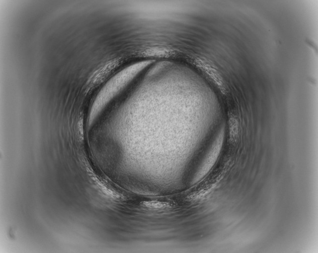 X0000096420633200802071704