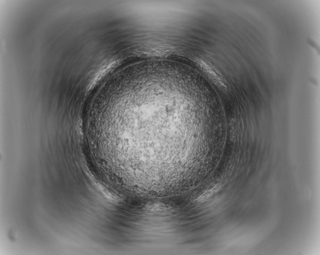 X0000096420634200802071704