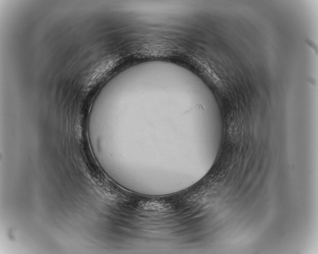 X0000096420635200802071704