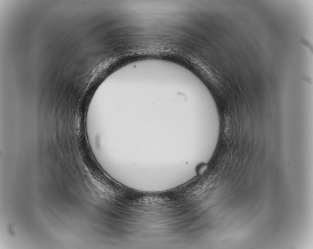 X0000096420636200802071704