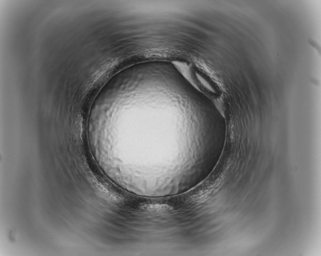 X0000096420637200802071704