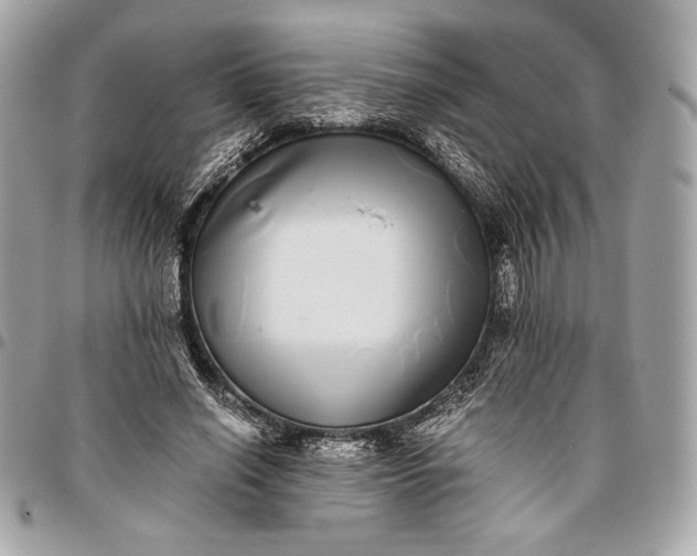 X0000096420638200802071704