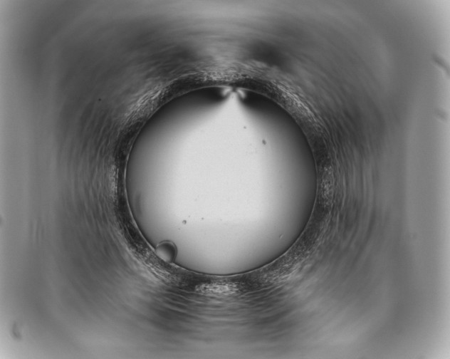 X0000096420639200802071704