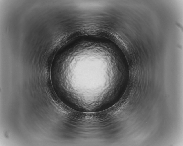 X0000096420641200802071704