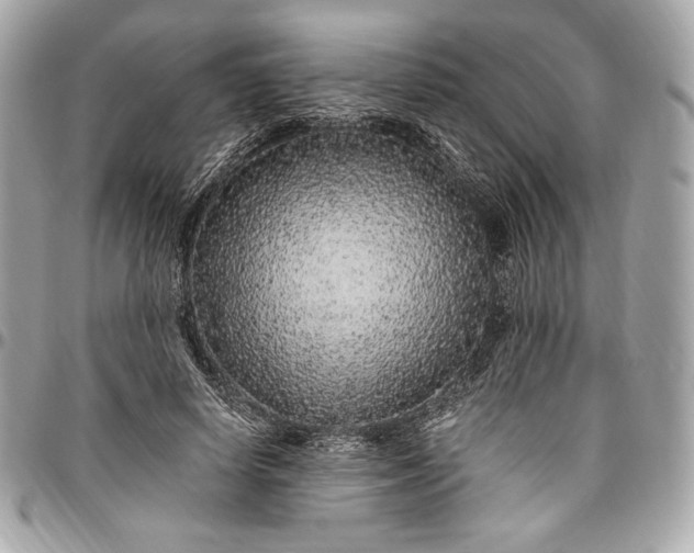 X0000096420642200802071704