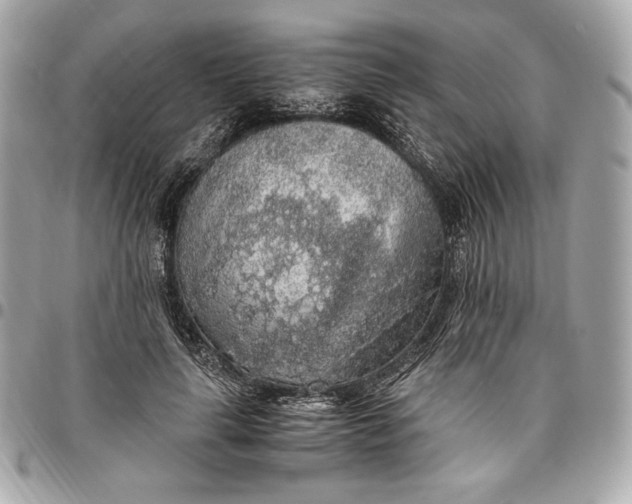 X0000096420643200802071704