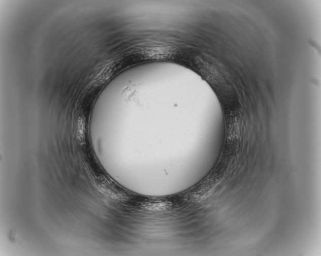 X0000096420646200802071704