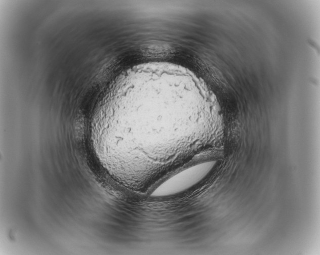 X0000096420647200802071704