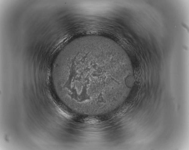 X0000096420648200802071704