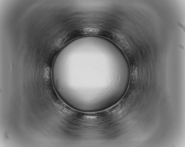 X0000096420649200802071704