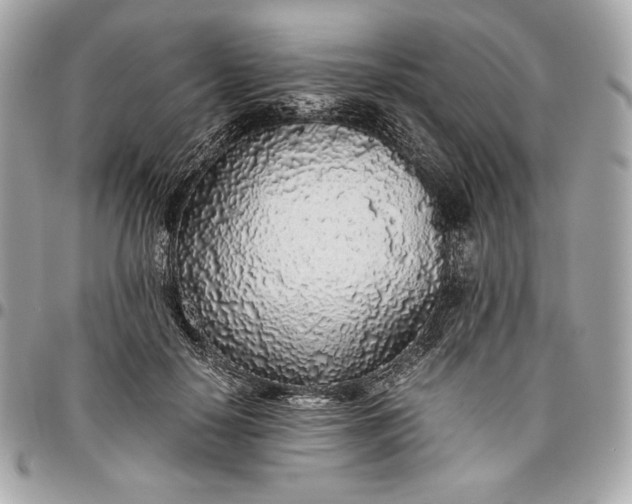 X0000096420650200802071704