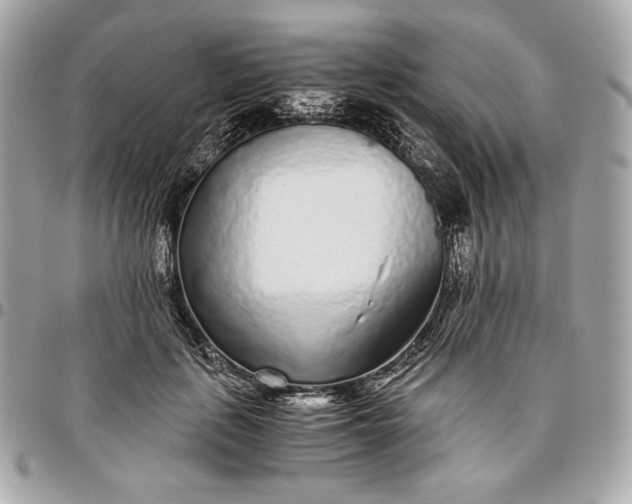 X0000096420651200802071704