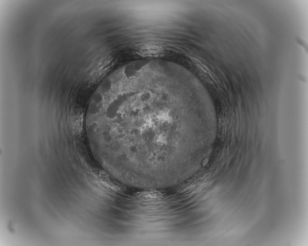 X0000096420652200802071704