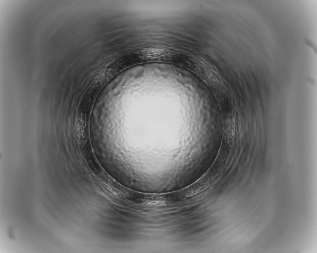 X0000096420653200802071704