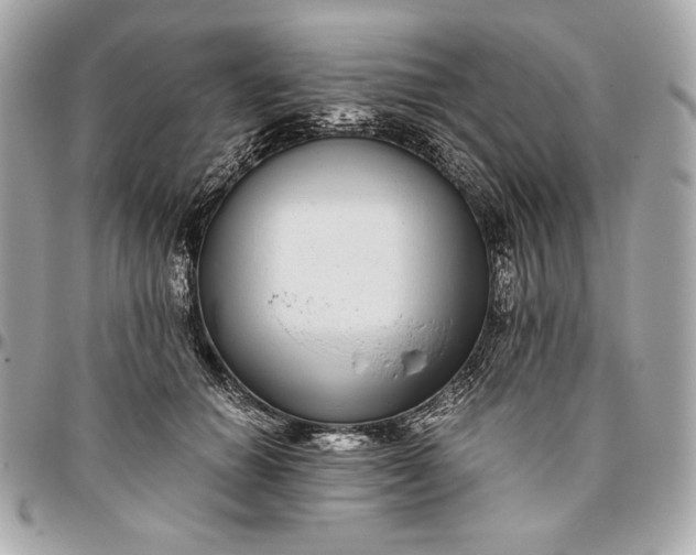 X0000096420654200802071704