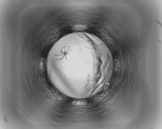 X0000096420655200802071704