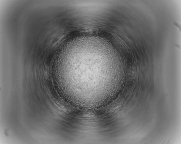 X0000096420656200802071704