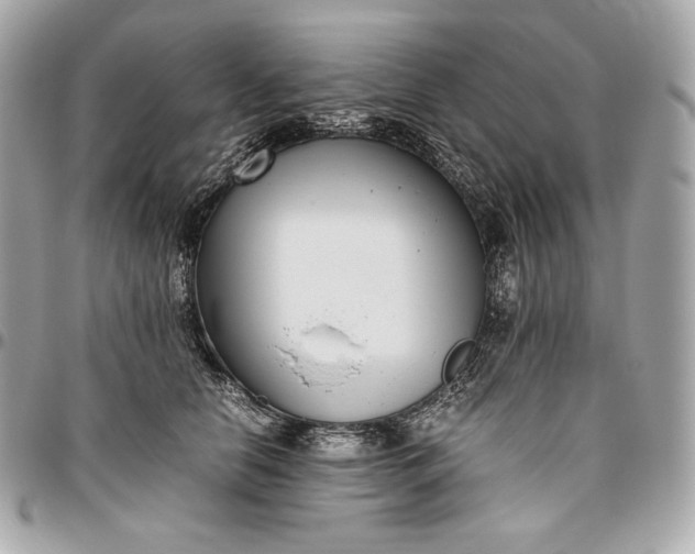 X0000096420658200802071704