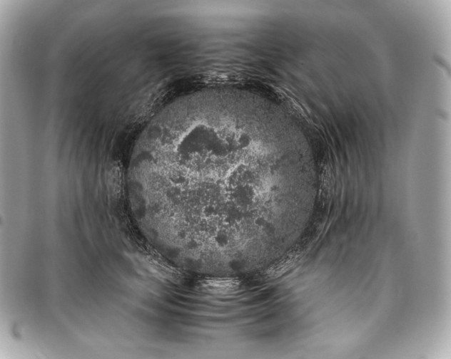 X0000096420659200802071704