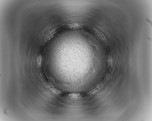 X0000096420660200802071704