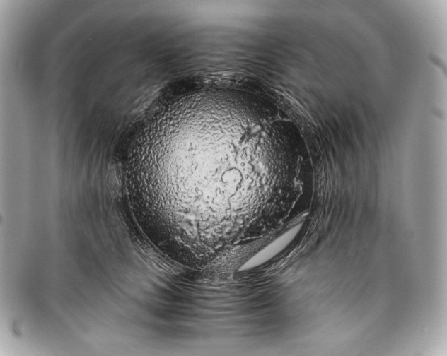 X0000096420661200802071704