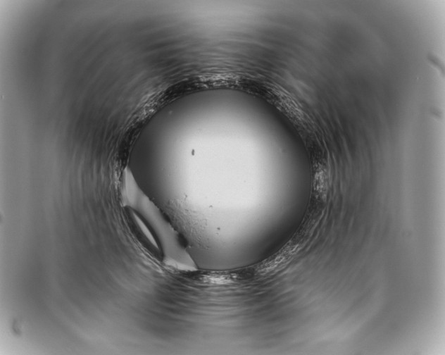 X0000096420662200802071704