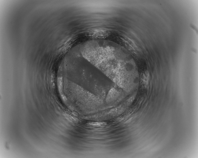 X0000096420663200802071704