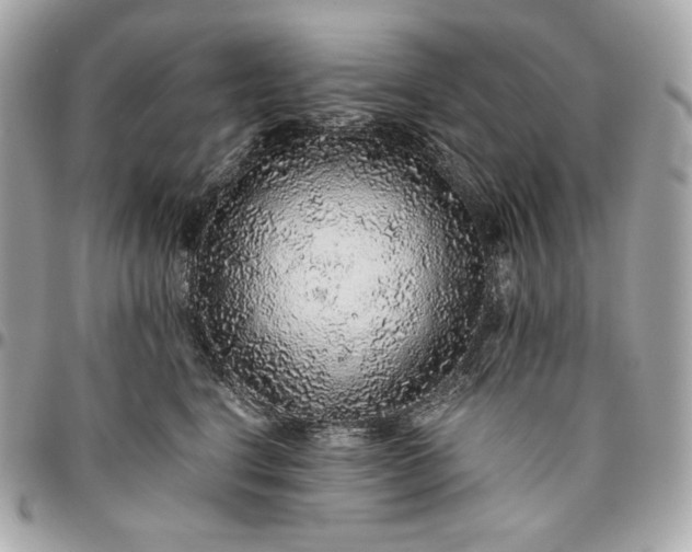 X0000096420664200802071704