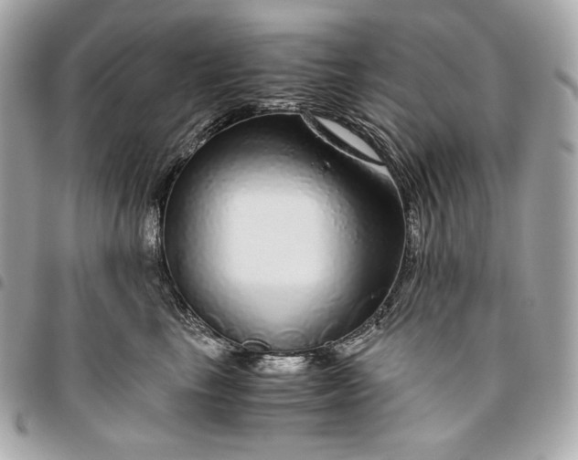 X0000096420665200802071704