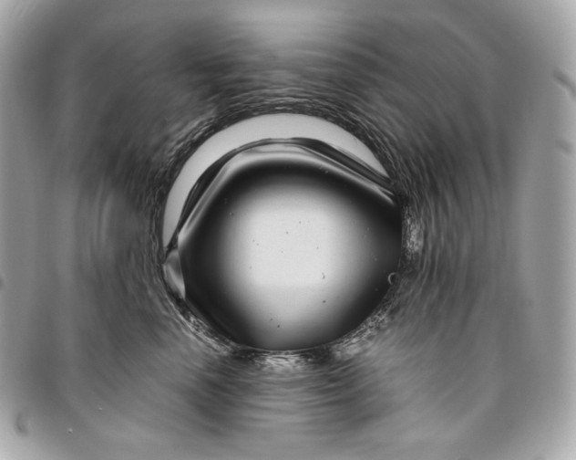 X0000096420666200802071704