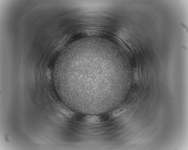 X0000096420667200802071704