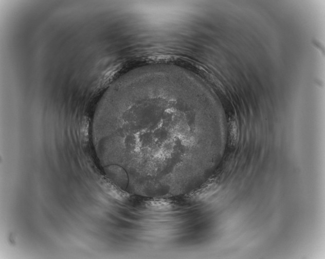 X0000096420668200802071704