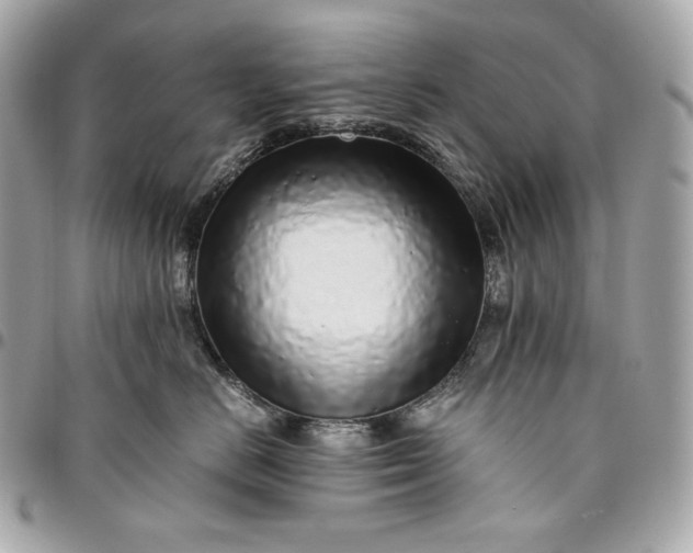 X0000096420670200802071704