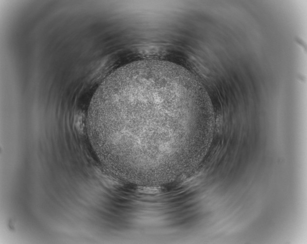 X0000096420671200802071704