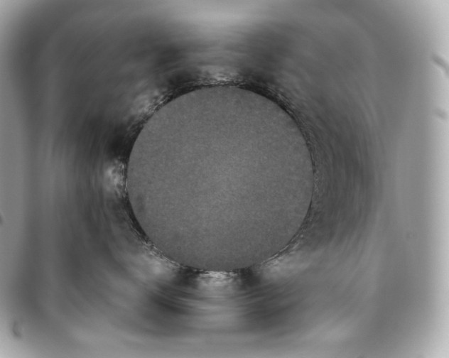 X0000096420672200802071704