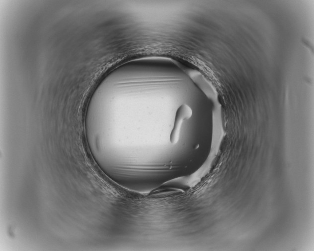 X0000096420673200802071703