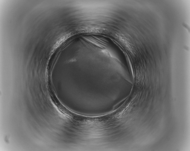 X0000096420674200802071703