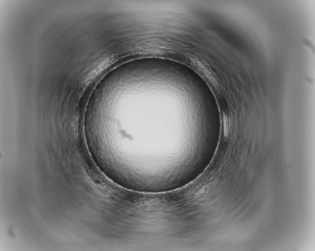 X0000096420675200802071703