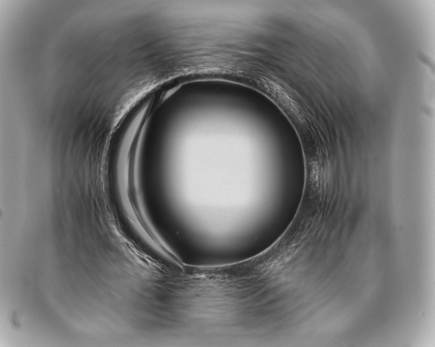 X0000096420676200802071703