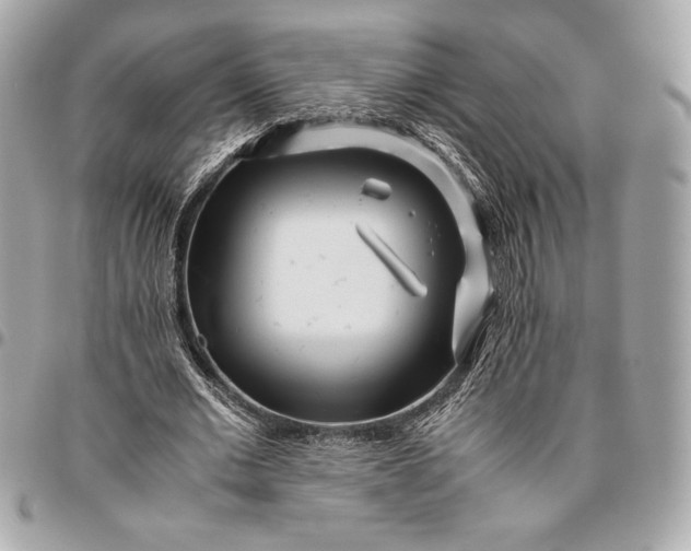 X0000096420677200802071703