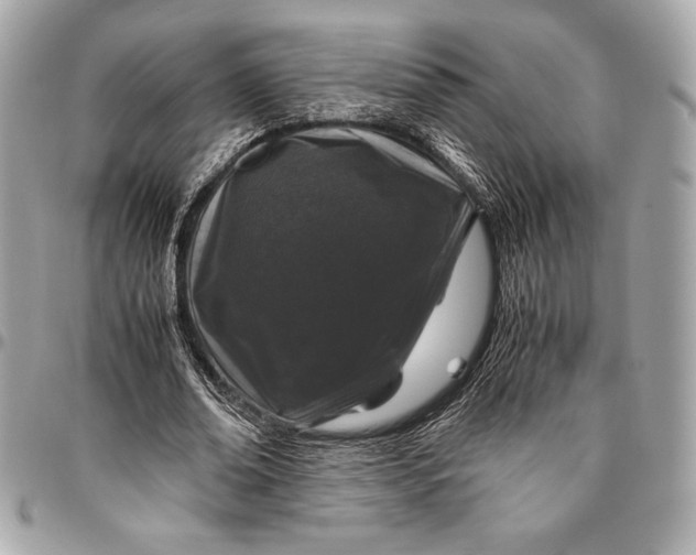 X0000096420678200802071703