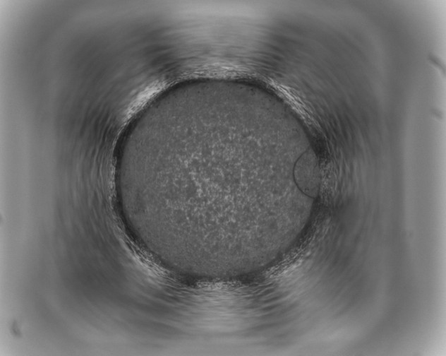 X0000096420679200802071703