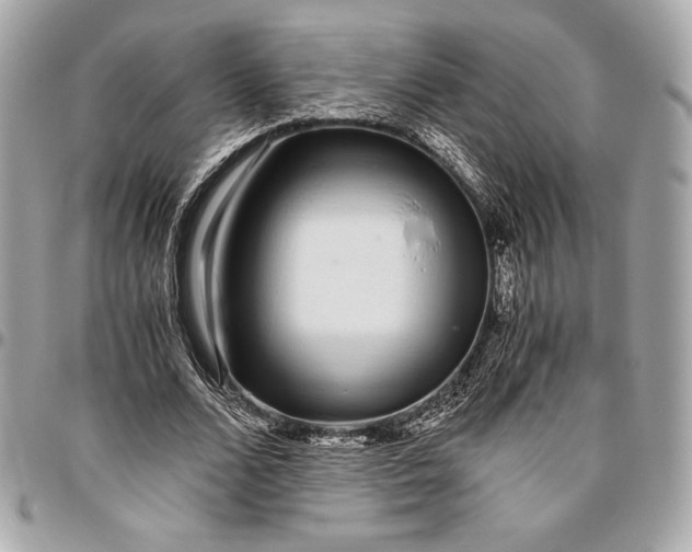 X0000096420680200802071703