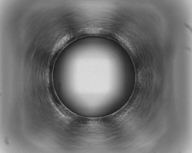 X0000096420682200802071703