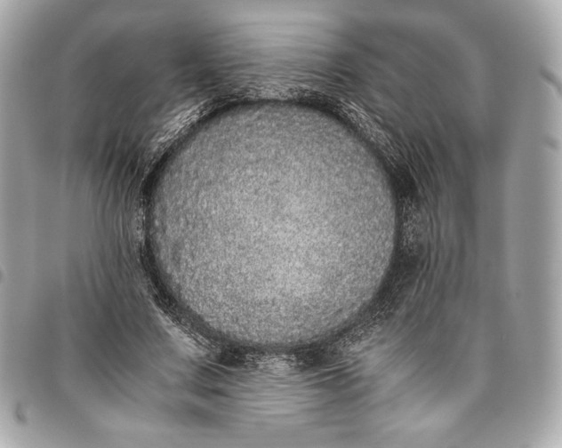 X0000096420683200802071703