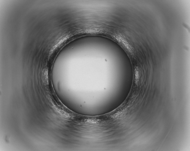 X0000096420684200802071703