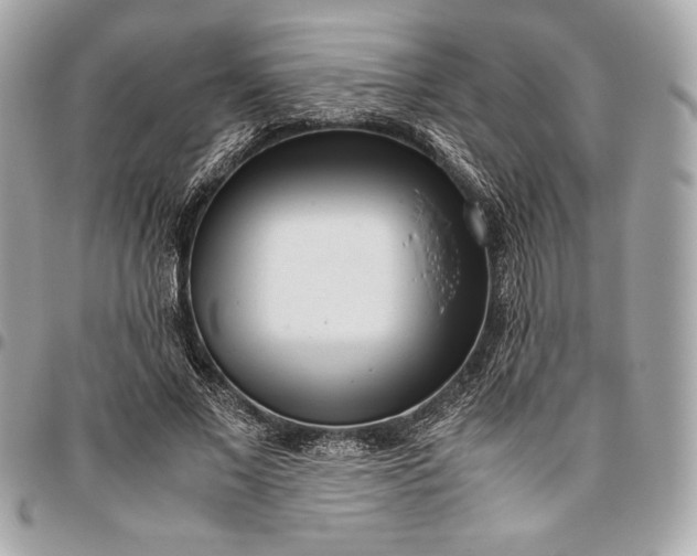 X0000096420685200802071703